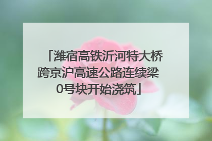 潍宿高铁沂河特大桥跨京沪高速公路连续梁0号块开始浇筑