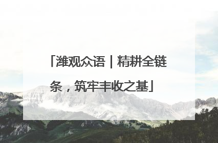 潍观众语｜精耕全链条，筑牢丰收之基