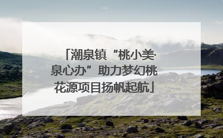 潮泉镇“桃小美·泉心办”助力梦幻桃花源项目扬帆起航