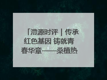 澧源时评｜传承红色基因 铸就青春华章——桑植热土上的青春长征