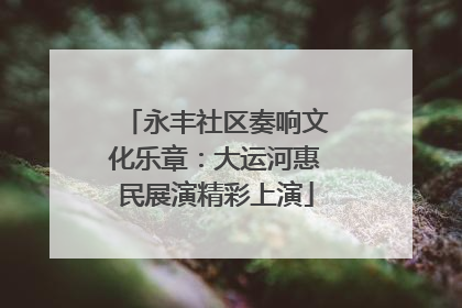 永丰社区奏响文化乐章：大运河惠民展演精彩上演