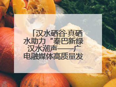 汉水硒谷·真硒水助力“秦巴新绿 汉水潮声——广电融媒体高质量发展陕西采访行”