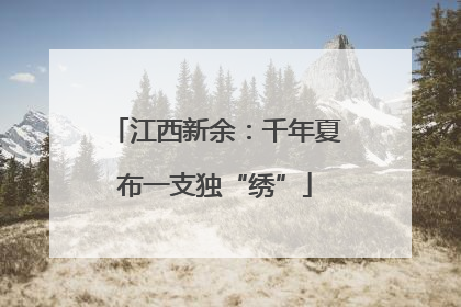 江西新余：千年夏布一支独“绣”