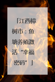 江西樟树市：鱼塘养殖激活“幸福密码”