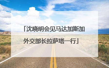 沈晓明会见马达加斯加外交部长拉萨塔一行