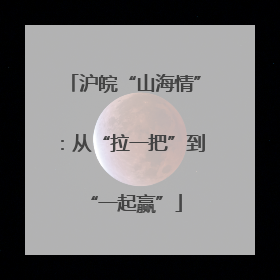 沪皖“山海情”：从“拉一把”到“一起赢”
