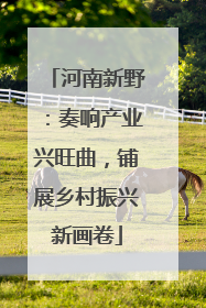 河南新野：奏响产业兴旺曲，铺展乡村振兴新画卷