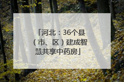 河北：36个县（市、区）建成智慧共享中药房