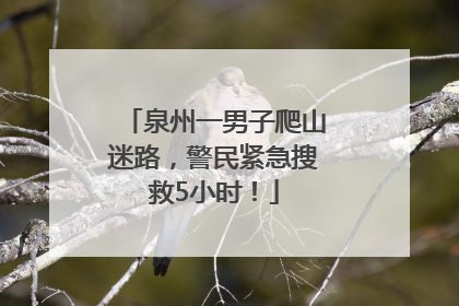 泉州一男子爬山迷路，警民紧急搜救5小时！