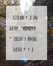 注意！上海这里“嘤嘤怪”出没！你见过没？！