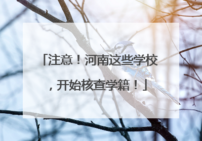 注意！河南这些学校，开始核查学籍！