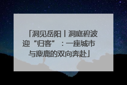 洞见岳阳丨洞庭碧波迎“归客”：一座城市与麋鹿的双向奔赴