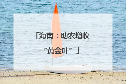 海南：助农增收 “黄金叶”