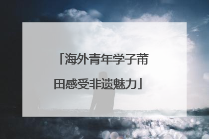 海外青年学子莆田感受非遗魅力