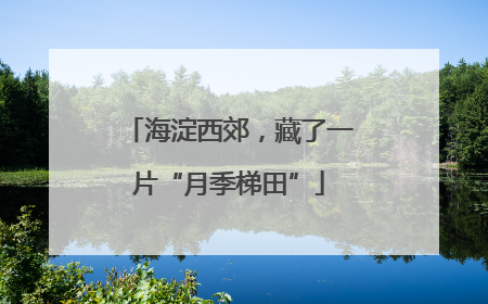 海淀西郊，藏了一片“月季梯田”