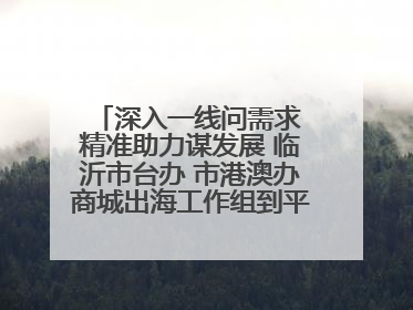 深入一线问需求 精准助力谋发展 临沂市台办 市港澳办商城出海工作组到平邑县走访调研
