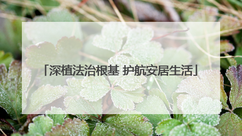 深植法治根基 护航安居生活