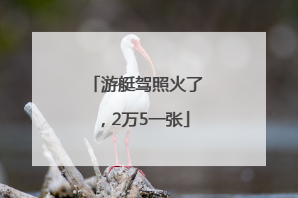 游艇驾照火了，2万5一张