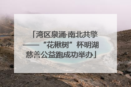 湾区泉涌·南北共擎——“花楸树”杯明湖慈善公益跑成功举办