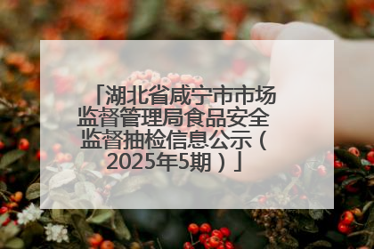 湖北省咸宁市市场监督管理局食品安全监督抽检信息公示（2025年5期）