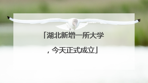 湖北新增一所大学，今天正式成立