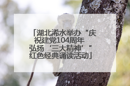 湖北浠水举办“庆祝建党104周年 弘扬‘三大精神’”红色经典诵读活动