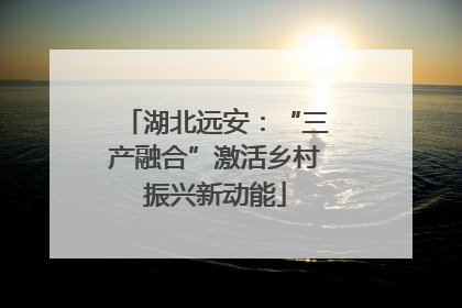 湖北远安：“三产融合”激活乡村振兴新动能