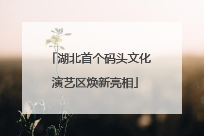 湖北首个码头文化演艺区焕新亮相