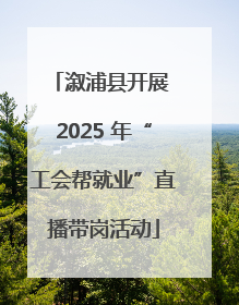 溆浦县开展 2025 年“工会帮就业”直播带岗活动