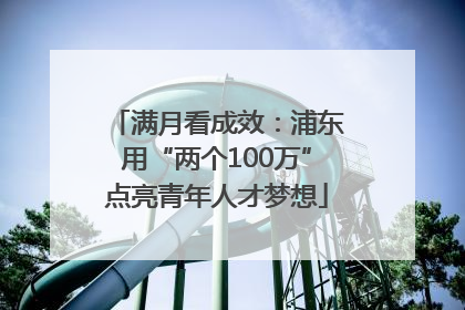 满月看成效：浦东用“两个100万”点亮青年人才梦想
