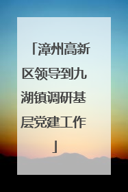 漳州高新区领导到九湖镇调研基层党建工作