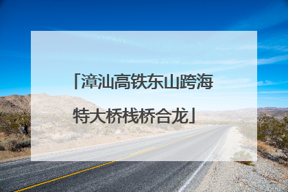 漳汕高铁东山跨海特大桥栈桥合龙