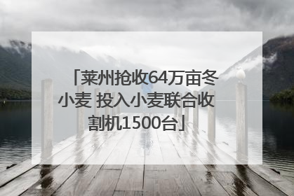 莱州抢收64万亩冬小麦 投入小麦联合收割机1500台
