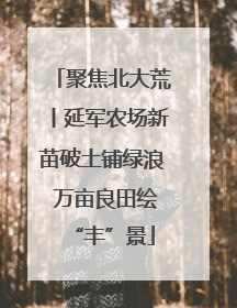 聚焦北大荒丨延军农场新苗破土铺绿浪 万亩良田绘“丰”景