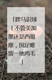 胖马识球丨不管美加墨还是西葡摩，国足唯留一地鸡毛