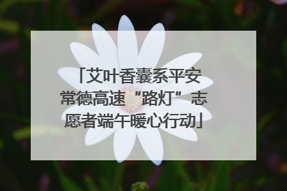 艾叶香囊系平安 常德高速“路灯”志愿者端午暖心行动
