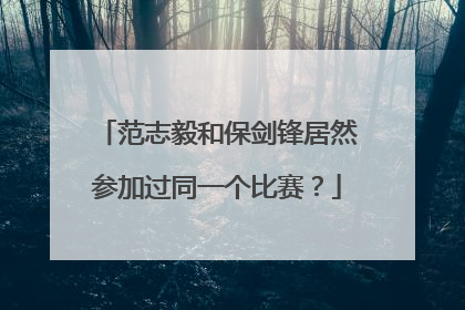 范志毅和保剑锋居然参加过同一个比赛？