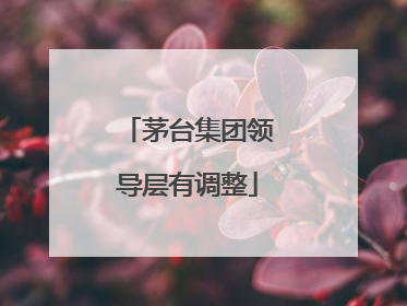 茅台集团领导层有调整