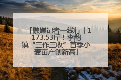 融媒记者一线行丨1173.53斤！李鹊镇“三作三收”首季小麦亩产创新高