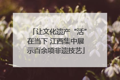 让文化遗产“活”在当下 江西集中展示百余项非遗技艺