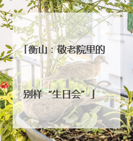 衡山：敬老院里的别样“生日会”