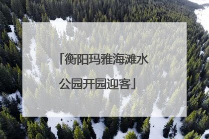 衡阳玛雅海滩水公园开园迎客