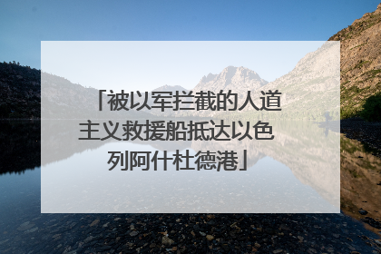 被以军拦截的人道主义救援船抵达以色列阿什杜德港