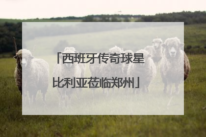 西班牙传奇球星 比利亚莅临郑州