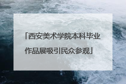 西安美术学院本科毕业作品展吸引民众参观