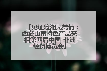 见证藏湘兄弟情：西藏山南特色产品亮相第四届中国-非洲经贸博览会