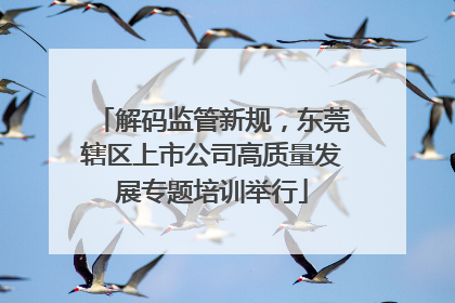 解码监管新规，东莞辖区上市公司高质量发展专题培训举行
