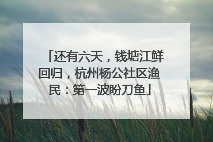还有六天，钱塘江鲜回归，杭州杨公社区渔民：第一波盼刀鱼