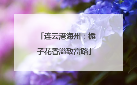 连云港海州：栀子花香溢致富路