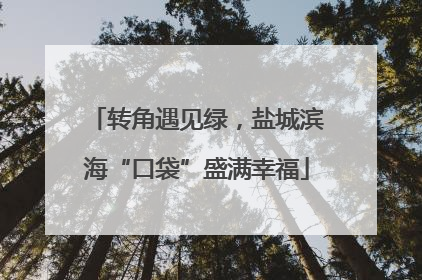 转角遇见绿，盐城滨海“口袋”盛满幸福